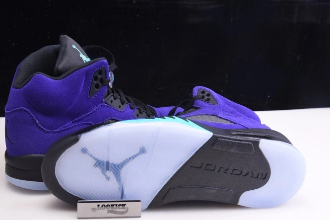 5 Jordan Retro Alternate 136027-500 Grape Air 0728